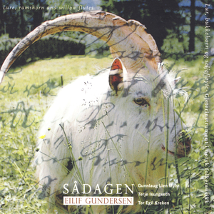 Syrg Ikkji, Gråt Ikkji