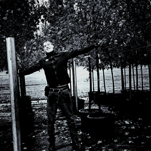 The Voices in My Head