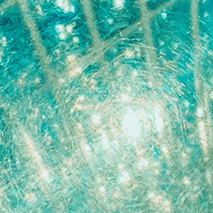 반추 (feat. 사뮈)