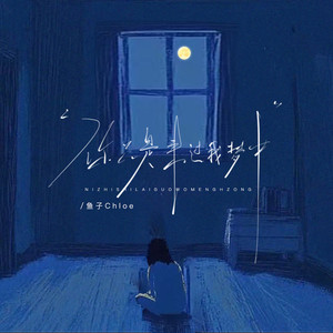 你只是来过我梦中