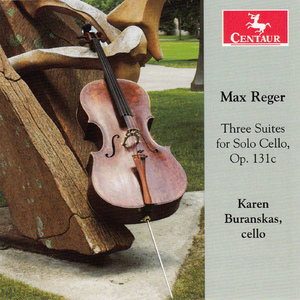 Cello Suite in D Minor, Op. 131c, No. 2:I. Prelude: Largo
