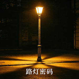 路灯密码