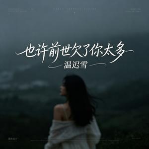 也许前世欠了你太多