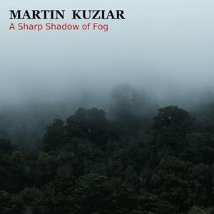 The Sharp Shadow of Fog