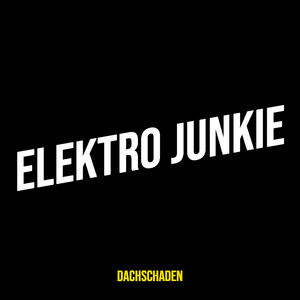 Elektro Junkie