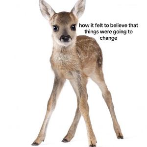 #détestable