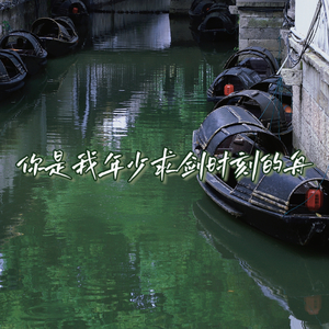 你是我年少求剑时刻的舟