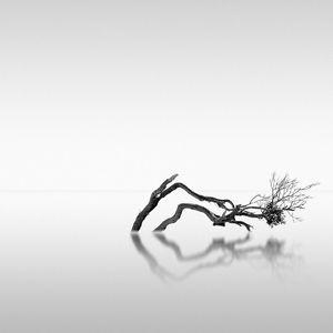 Electric R&B x Neo Soul Type Beat | "Taoism"