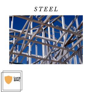 Steel
