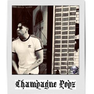 Can't Stop The Reign