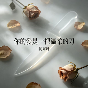 你的爱是一把温柔的刀