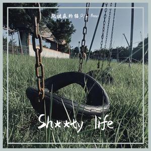 D/L BOOM-Sh**ty life（玩谜底的猫 / D/L BOOM remix）