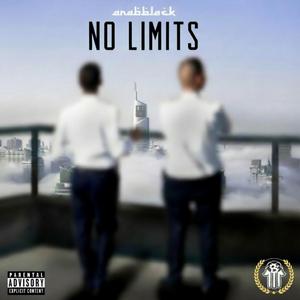 NO LIMITS (feat. Immigrashi)