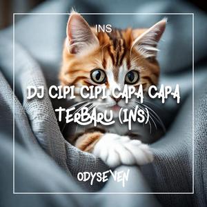 DJ CIPI CIPI CAPA CAPA TERBARU INS