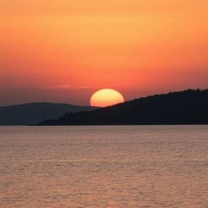 一万个想你的理由喝了酒