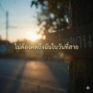 ไม่ต้องคิดถึงฉัน ในวันที่สาย