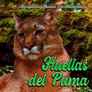 Huellas Del Puma