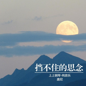 挡不住的思念 (翻奏: 花幺妹|片段)