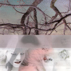 ไม้ขีดไฟกับดอกทานตะวัน