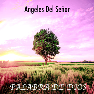 Ángeles Del Señor