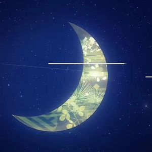 月光の见证 请と我交往吧