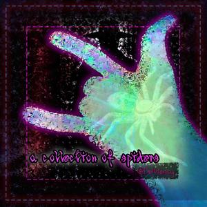 The Land of the Spiders