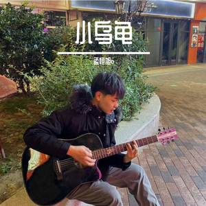 小乌龟