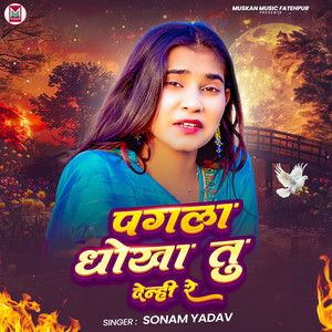 Pagla Dhokha Tu Delhi Re