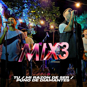 Tú - Mi Razón de Ser - Puño de Diamante