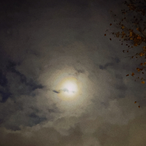 失去后只剩怀念