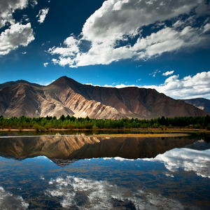 那年夏天许下的诺言
