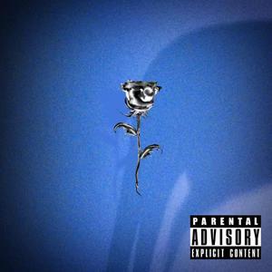 蔷薇衬衫(Prod.MORROW)