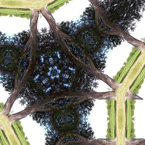 Ancestral spirits awake