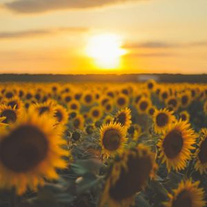 四季ノ唄 -acoustic short ver.-