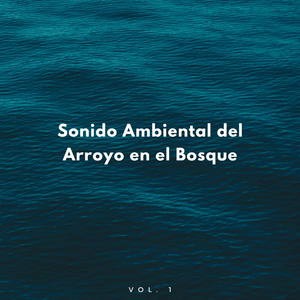 Pájaros Alrededor Del Arroyo