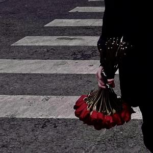 还没送过你玫瑰花（Prod.XVIBE)