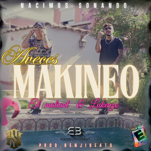 Aveces Makineo