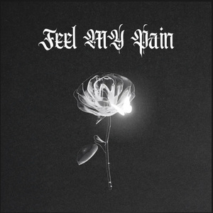 Feel it my pain （covered by Jeremy）