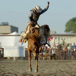Vida de Cowboy
