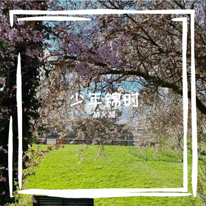 少年锦时