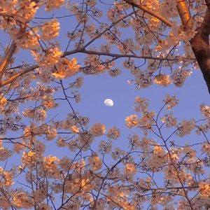 即兴蓝调beat（inst）