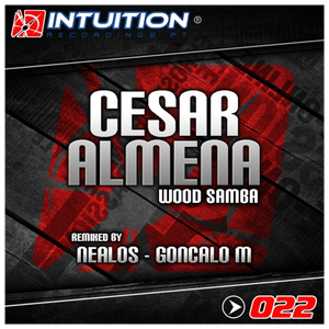 Wood Samba (Goncalo M Remix)