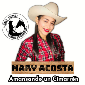 Amansando un Cimarrón