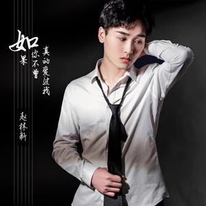 如果你不曾真的爱过我