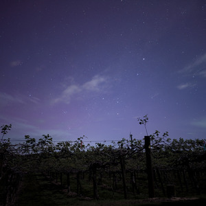 おとなしい金曜