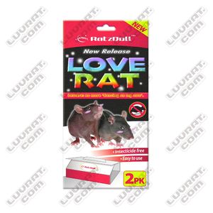 爱情鼠 LOVERAT