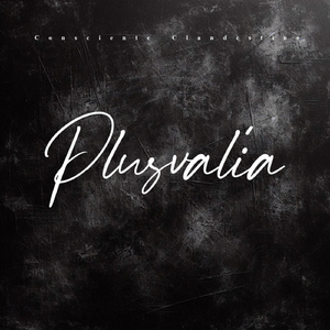 Plusvalía