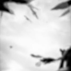 春天里（给狗听的版本）