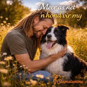 Meer as net 'n hond vir my