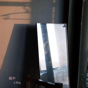 镜中